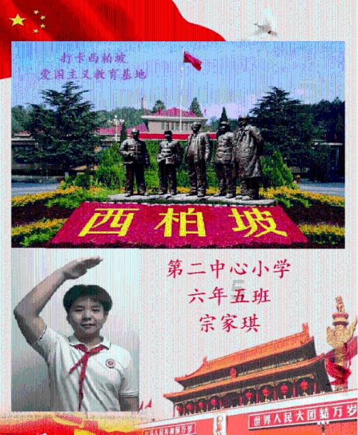 破碎的动物图形2